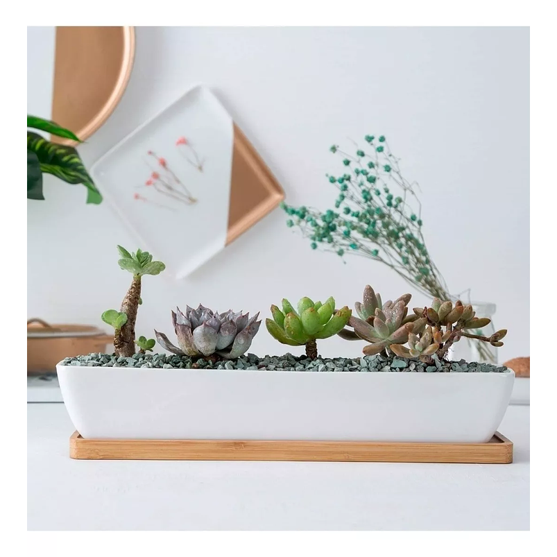Maceta Ceramica Premium Rectangular 28cm Largo más plato Bambu Blanco 2