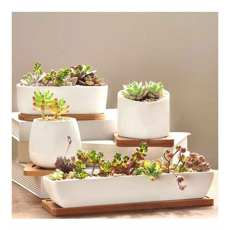 Maceta Ceramica Premium Rectangular 28cm Largo más plato Bambu Blanco 5