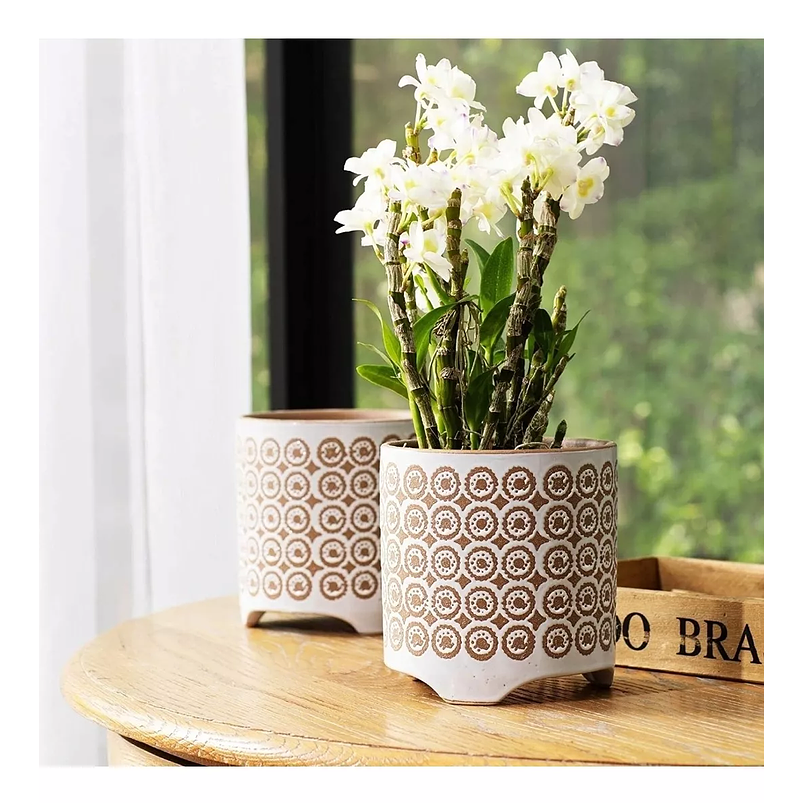 Maceta Cerámica Premium Diseño Esmerilado 14cm Diam x14alto Esmerilado Blanco 4