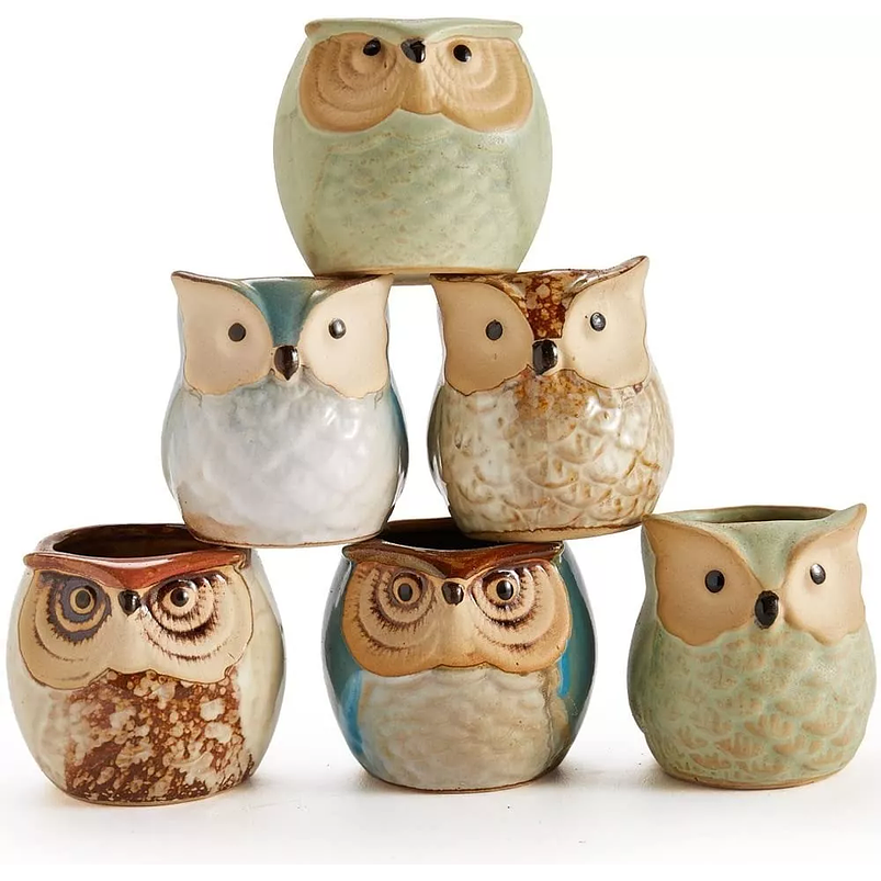 Juego Macetas x6 Cerámica Fina Diseños de Cactus Suculentas 2