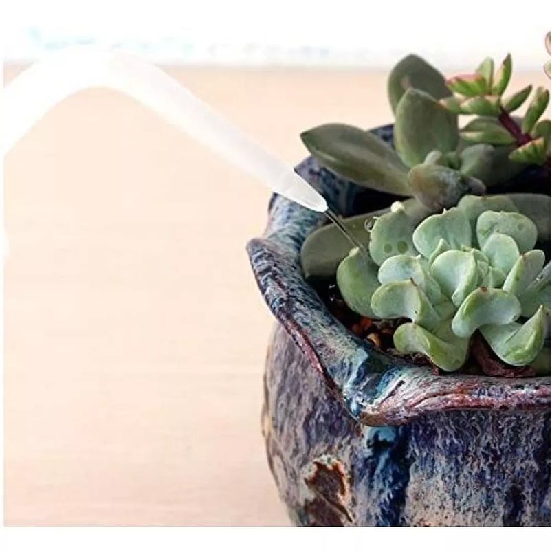 Botella de Riego De Apretar Ideal Cactus Suculentas x250ml Blanco 2