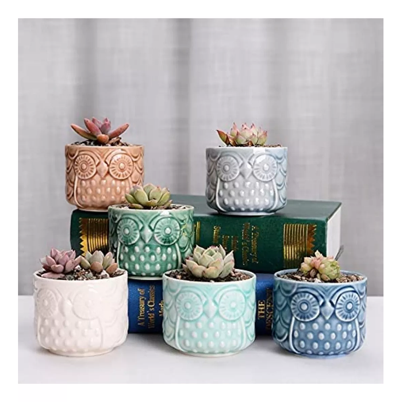 Juego de Macetas Ceramica x6 unidades Búho más Plato Bambu Cactus 2