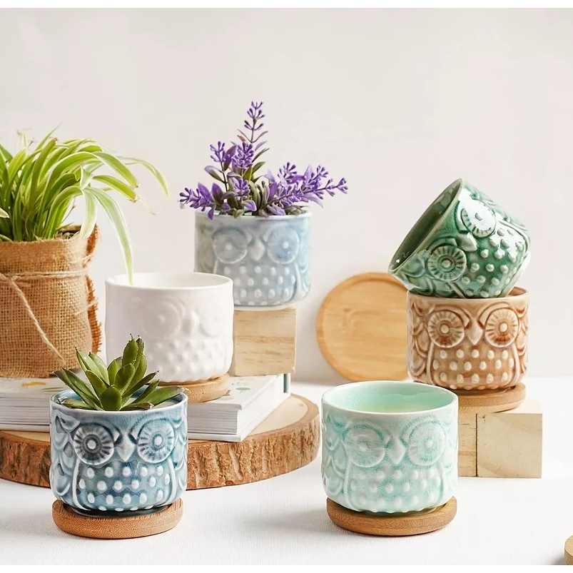 Juego de Macetas Ceramica x6 unidades Búho más Plato Bambu Cactus 3