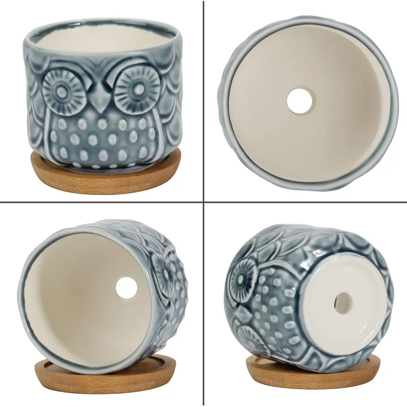 Juego de Macetas Ceramica x6 unidades Búho más Plato Bambu Cactus 4
