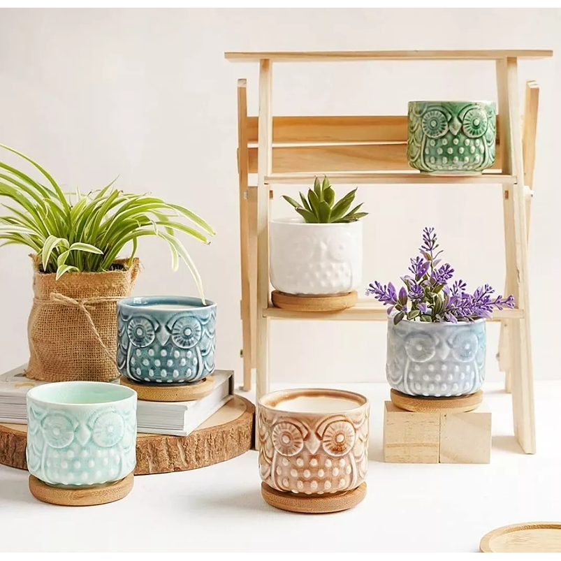 Juego de Macetas Ceramica x6 unidades Búho más Plato Bambu Cactus 1