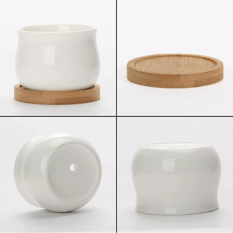 Maceta Cerámica Premium más plato Bambu Recordatorio 6.7cm Diam Recordatorio Blanco 1