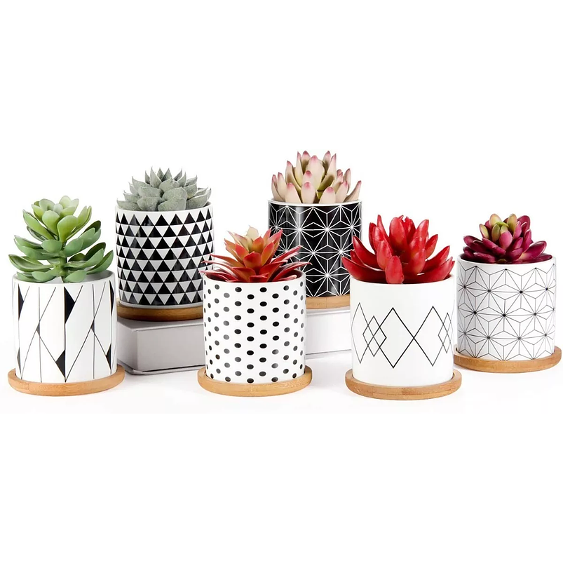 Juego Macetas Cerámica x6 Piezas más platillo Bambú Negro Chic 2