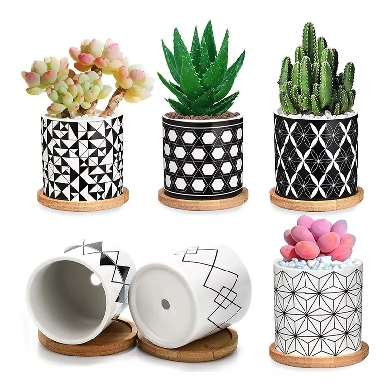 Juego Macetas Cerámica x6 Piezas más platillo Bambú Negro Chic 1