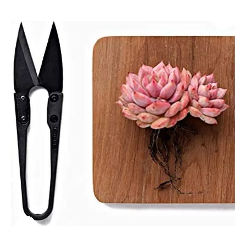 Kit Herramientas De Suculentas y Cactus x12 Piezas Premium 2