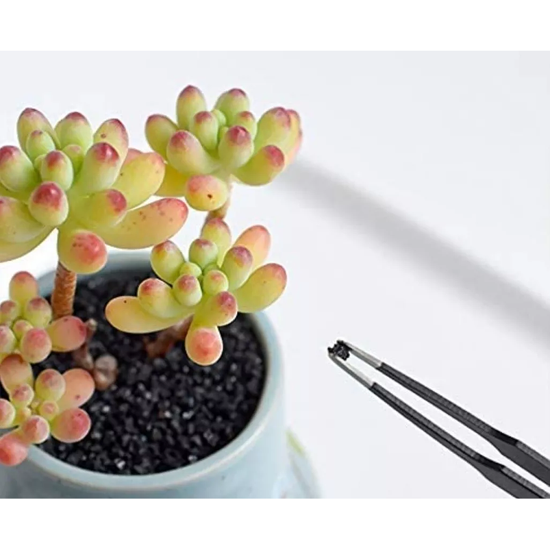 Kit Herramientas De Suculentas y Cactus x12 Piezas Premium 5