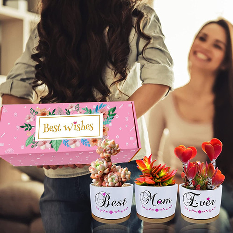 Juego Macetas Cerámica Premium Cactus Suculentas X3unidades 4