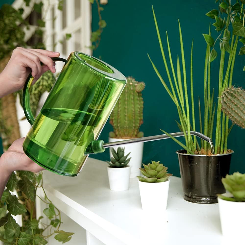 Regadera Plastica Plantas Premium Salida en Acero más Spray x1 litro Mas Botella de Apretar 11