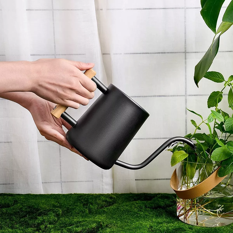 Regadera Chic de Plantas Jardín x1 Litro Acero 4