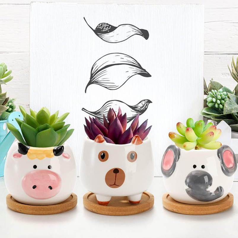 Juego Macetas Cerámica Cactus Y Suculentas X6 Pz Animalitos 4