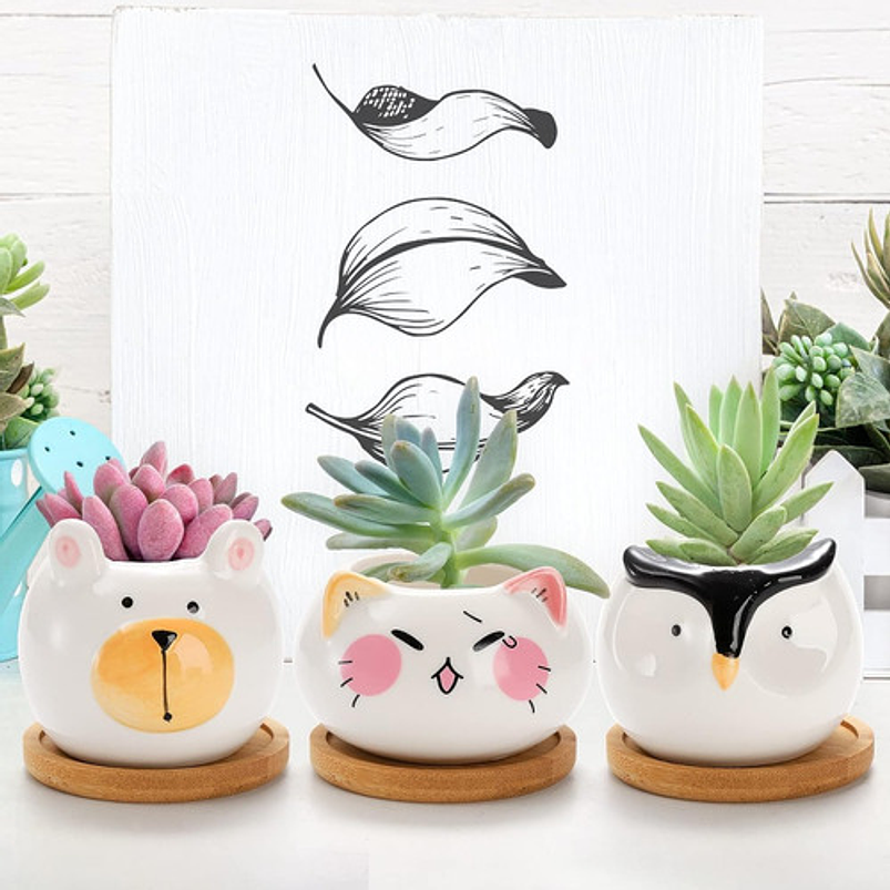 Juego Macetas Cerámica Cactus Y Suculentas X6 Pz Animalitos 5