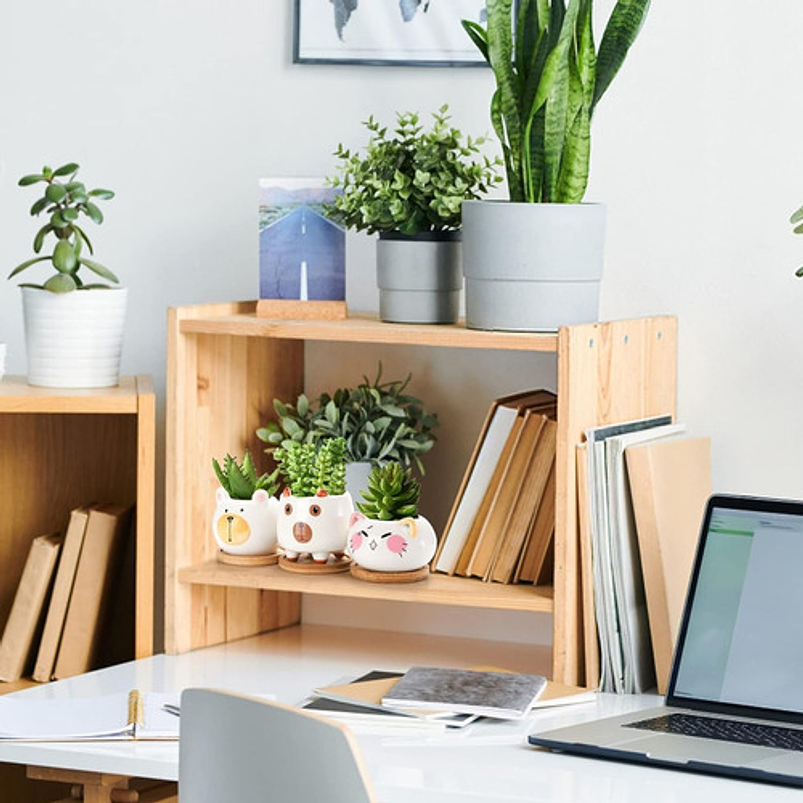 Juego Macetas Cerámica Cactus Y Suculentas X6 Pz Animalitos 6