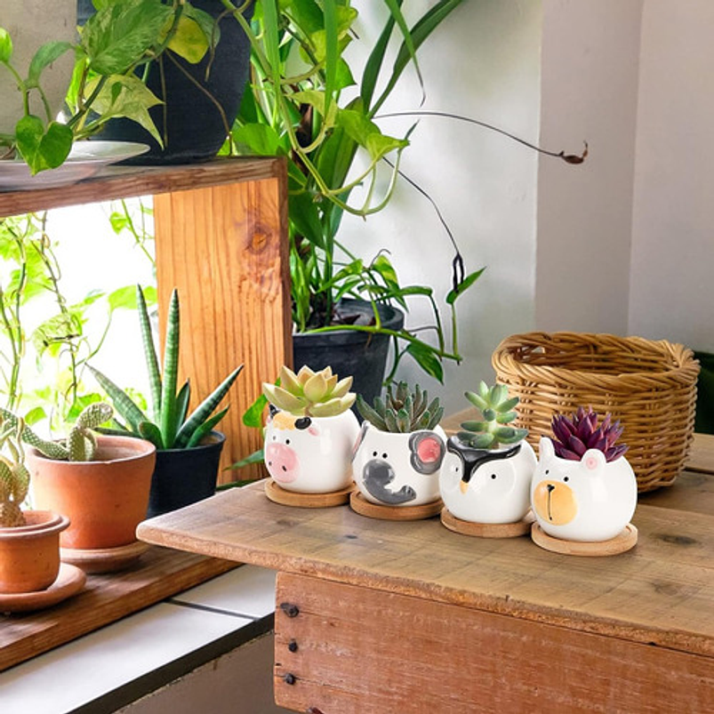 Juego Macetas Cerámica Cactus Y Suculentas X6 Pz Animalitos 7