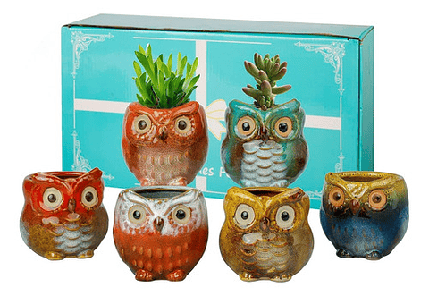 Juego Macetas Cerámica Cactus Suculentas x6 Piezas Diseño Buhos