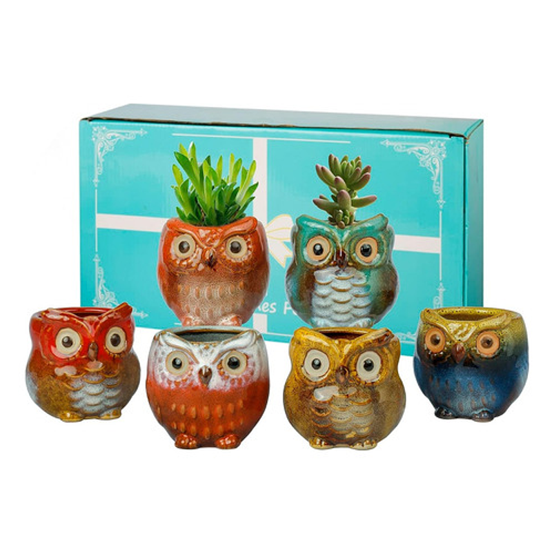 Juego Macetas Cerámica Cactus Suculentas x6 Piezas Diseño Buhos 1