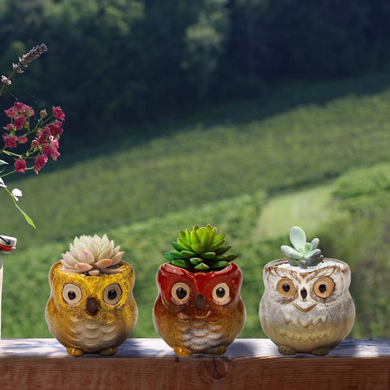 Juego Macetas Cerámica Cactus Suculentas x6 Piezas Diseño Buhos 5