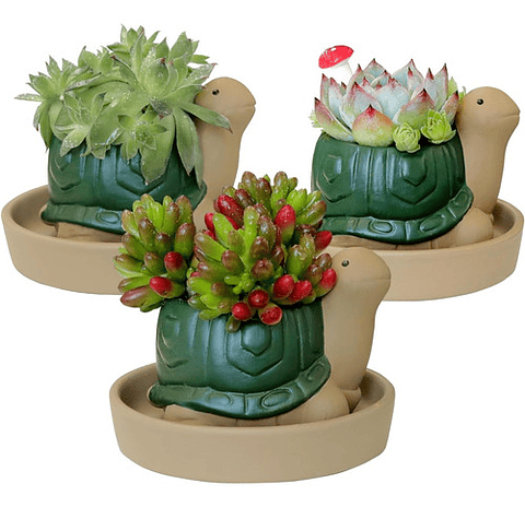 Maceta Cerámica Plantas Cactus y Suculentas x1 Pz Animalitos