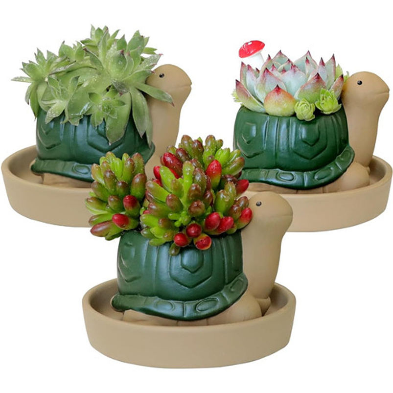 Maceta Cerámica Plantas Cactus y Suculentas x1 Pz Animalitos 1