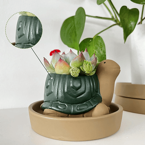 Maceta Cerámica Plantas Cactus y Suculentas x1 Pz Animalitos