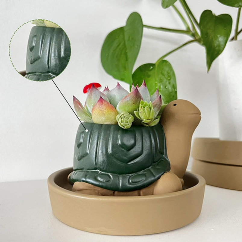 Maceta Cerámica Plantas Cactus y Suculentas x1 Pz Animalitos 2