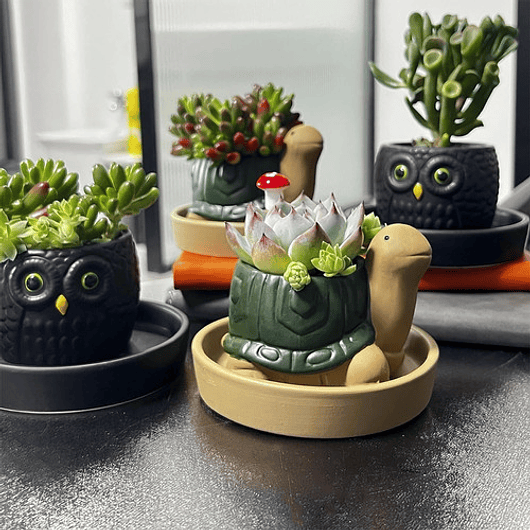 Maceta Cerámica Plantas Cactus y Suculentas x1 Pz Animalitos 4