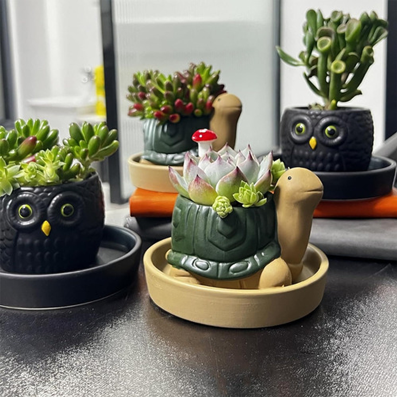 Maceta Cerámica Plantas Cactus y Suculentas x1 Pz Animalitos 4