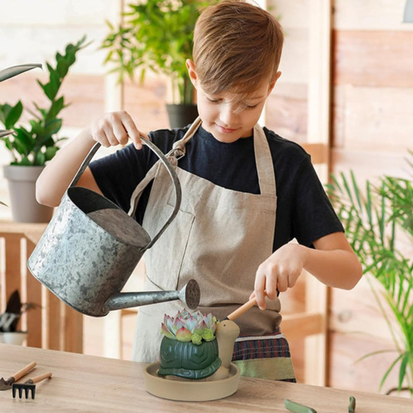 Maceta Cerámica Plantas Cactus y Suculentas x1 Pz Animalitos 5