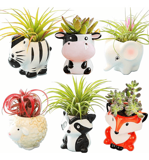 Juego Macetas Cerámica Suculentas Diseño Animalitos x6 Piezas