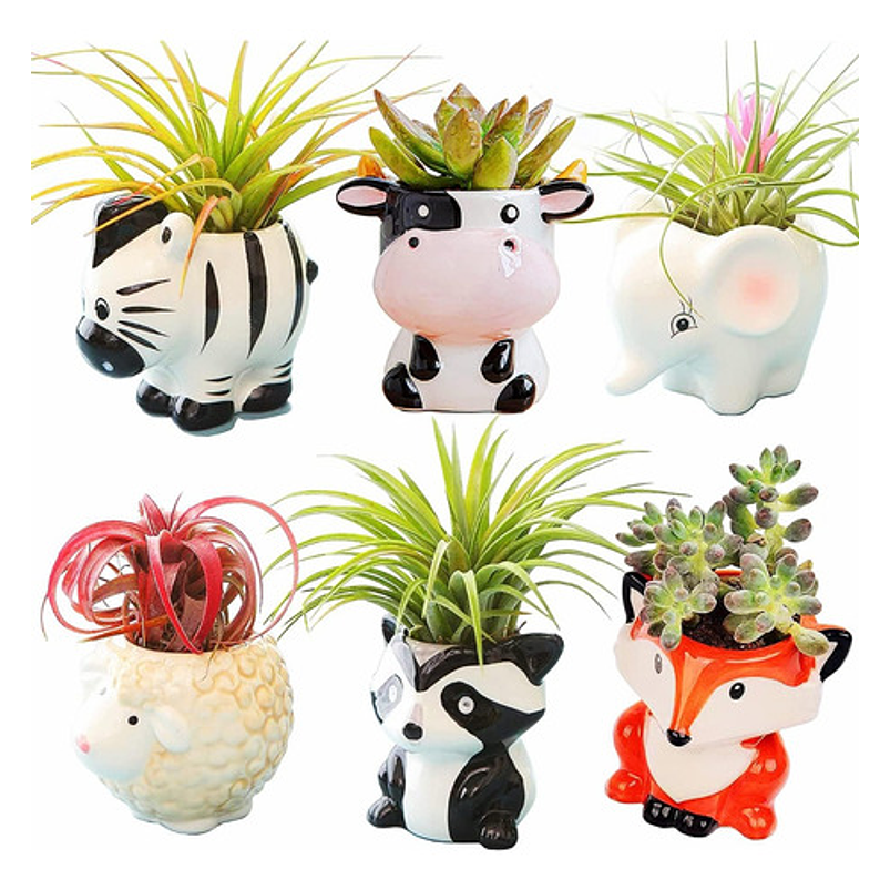 Juego Macetas Cerámica Suculentas Diseño Animalitos x6 Piezas 1