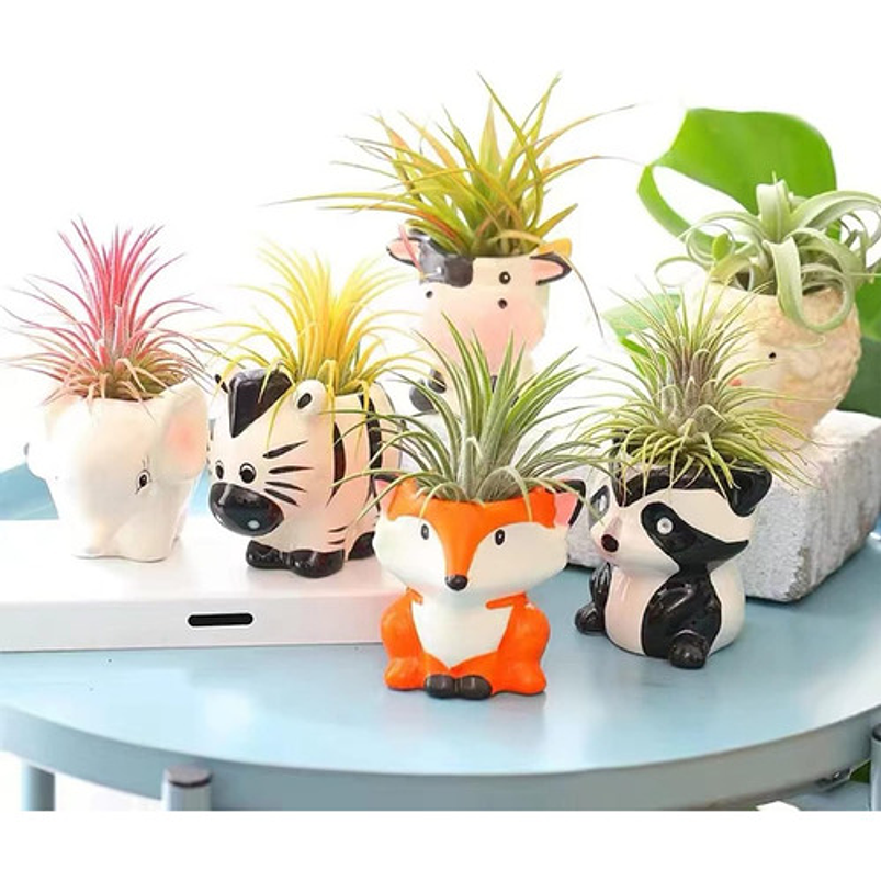 Juego Macetas Cerámica Suculentas Diseño Animalitos x6 Piezas 2