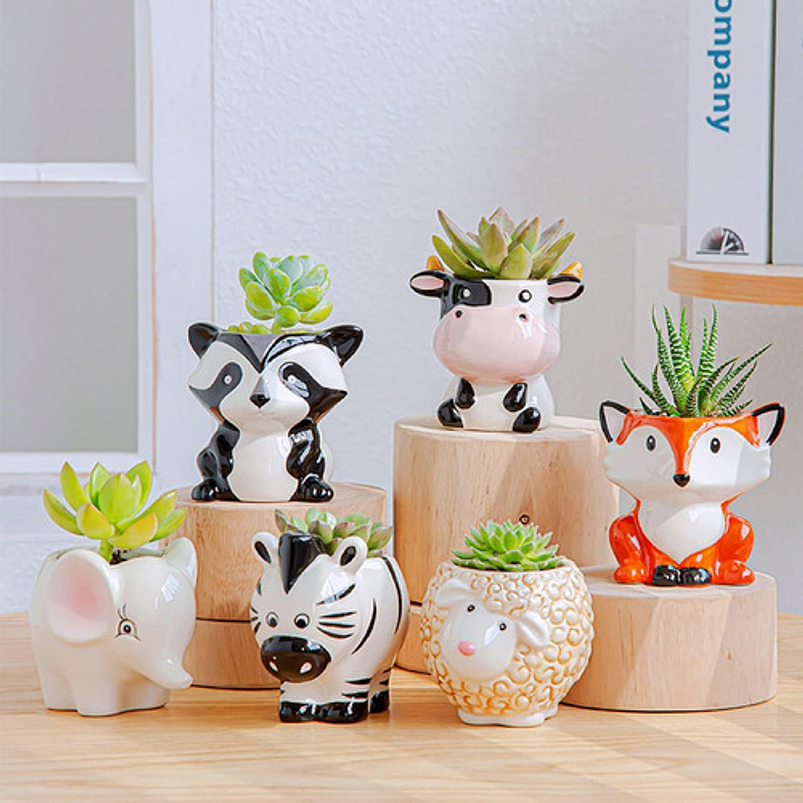 Juego Macetas Cerámica Suculentas Diseño Animalitos x6 Piezas 5