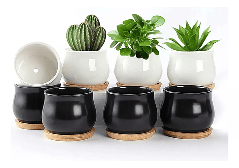 Maceta Cerámica x4 unidades más platillo bambú cactus 6cm diámetro x5.5cm alto