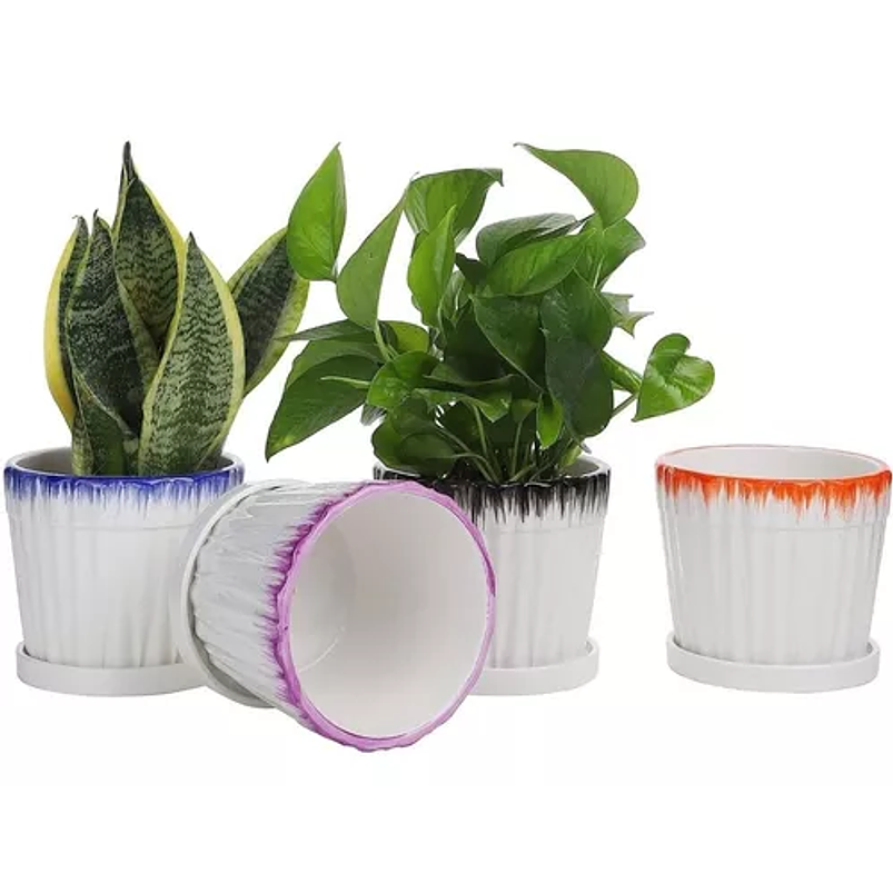 Juego Macetas Cerámica Fina x4 Unidades 14cm Diam X12cm Alto 2
