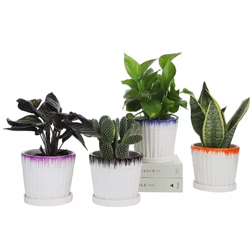 Juego Macetas Cerámica Fina x4 Unidades 14cm Diam X12cm Alto 1