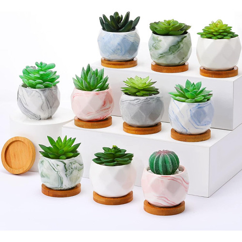 Juego Macetas Cerámica Fina x10 piezas Plantas Cactus y Suculentas 1