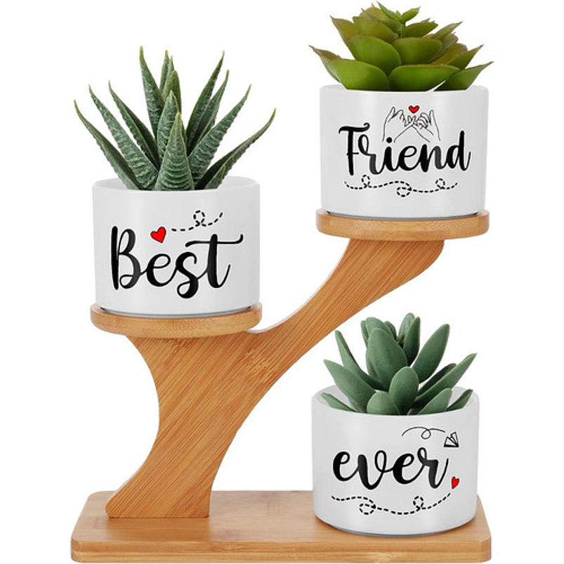 Soporte en Bambu más Macetas Cerámica de Plantas x3 Piezas Amigos 1