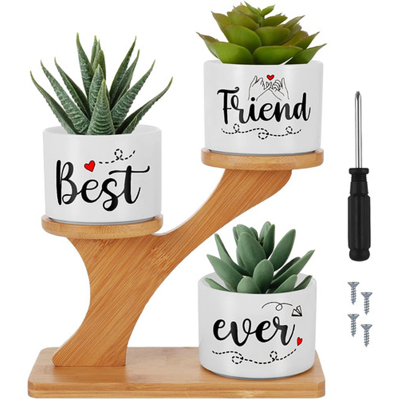 Soporte en Bambu más Macetas Cerámica de Plantas x3 Piezas Amigos 5