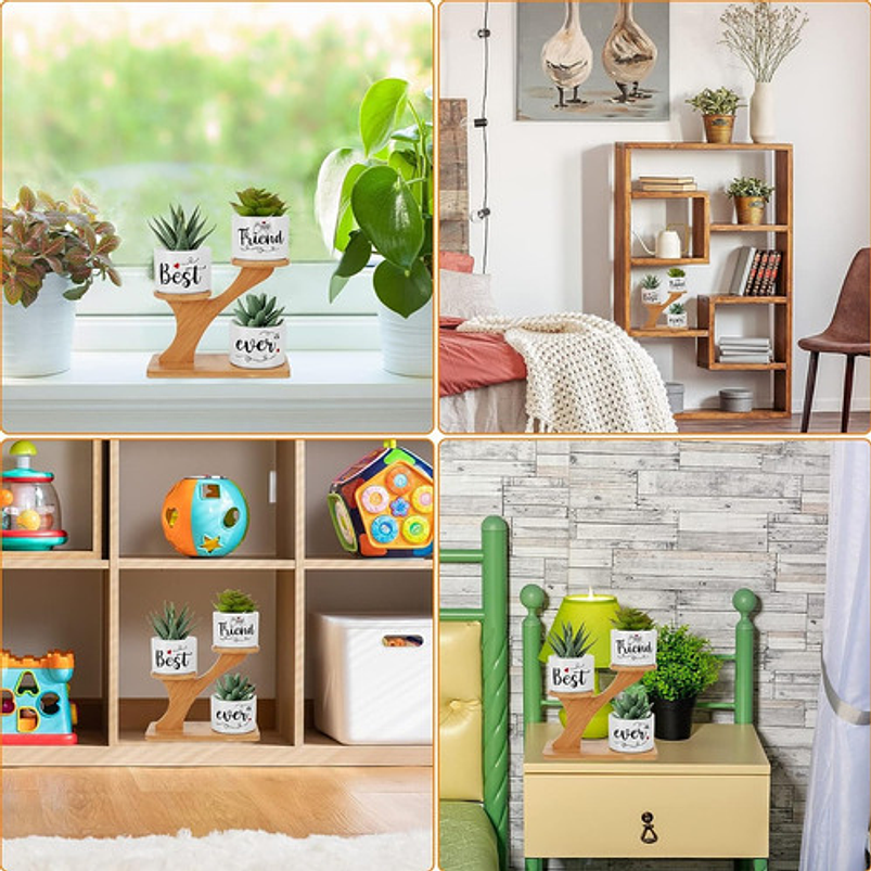Soporte en Bambu más Macetas Cerámica de Plantas x3 Piezas Amigos 4