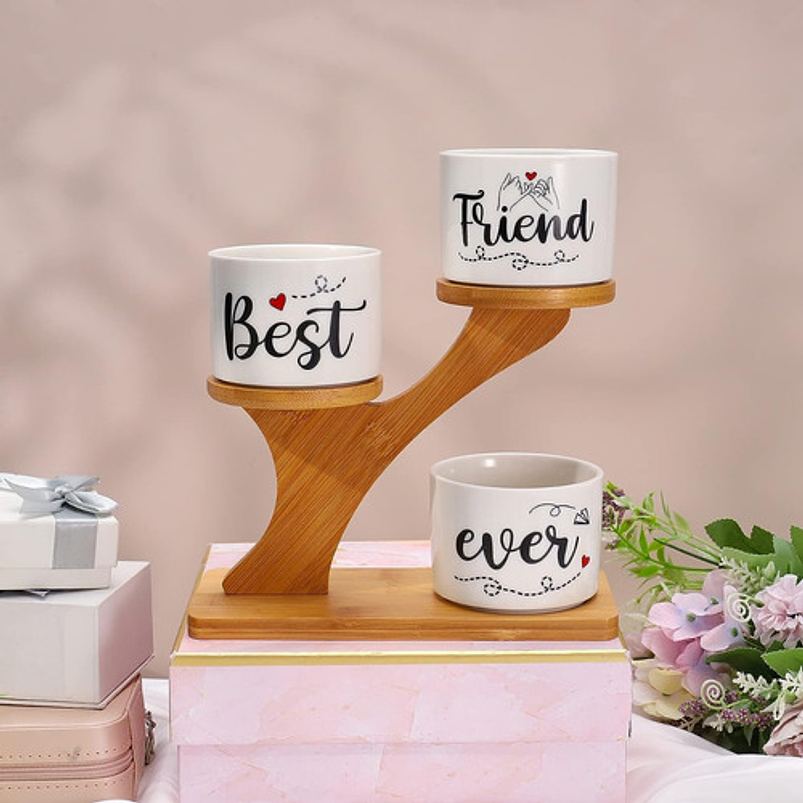 Soporte en Bambu más Macetas Cerámica de Plantas x3 Piezas Amigos 3