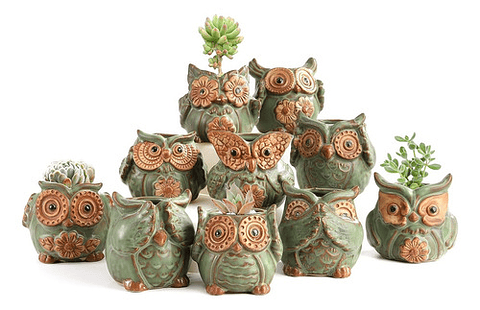 Juego Macetas Cerámica Diseño Buho x10 piezas Cactus Suculentas
