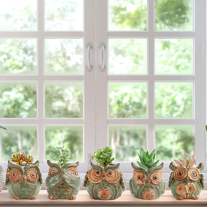 Juego Macetas Cerámica Diseño Buho x10 piezas Cactus Suculentas 4