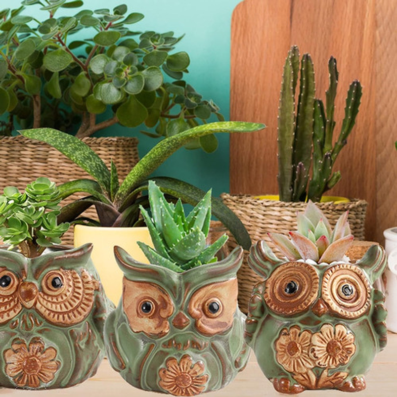 Juego Macetas Cerámica Diseño Buho x10 piezas Cactus Suculentas 6