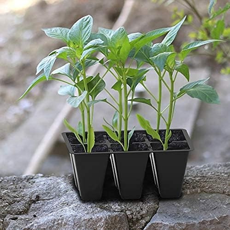 Bandeja Germinacion Semillas Plantas x12 Unid (72 Celdas) 4