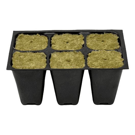 Bandeja Germinacion Semillas Plantas x12 Unid (72 Celdas) 5