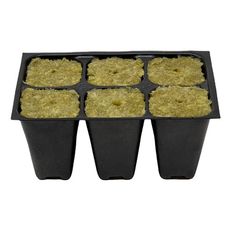 Bandeja Germinacion Semillas Plantas x12 Unid (72 Celdas) 5