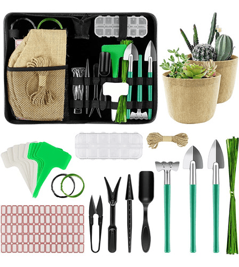 Kit Herramientas Esencial de Plantas Suculentas y Cactus